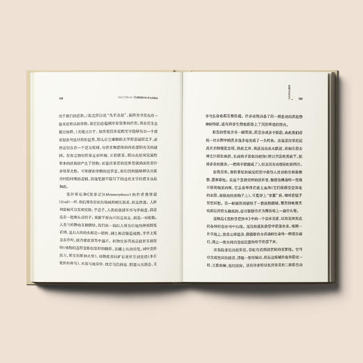 《卡尔维诺经典：收藏沙子的旅人》 商品图3