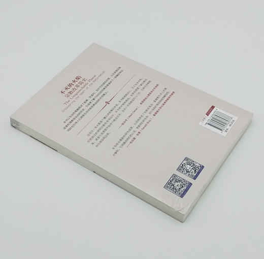 不灭的火焰：宗教改革简史 商品图2