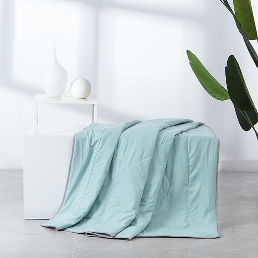 梦洁家纺舒柔素彩纤柔夏被 商品图0