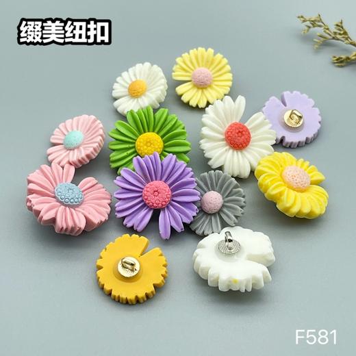 F581(整包购买) 商品图0