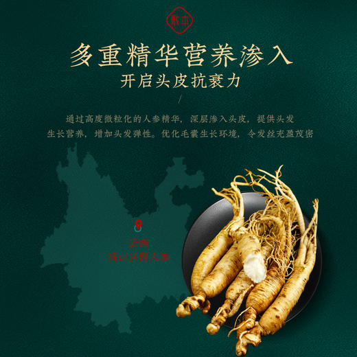 敷本人参头皮奢养套装强根韧发控油蓬松固本调养净澈 商品图1