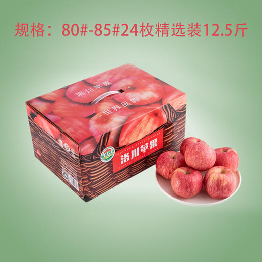 洛川红富士苹果精品礼盒80#-85#24枚精选装12.5斤 商品图0