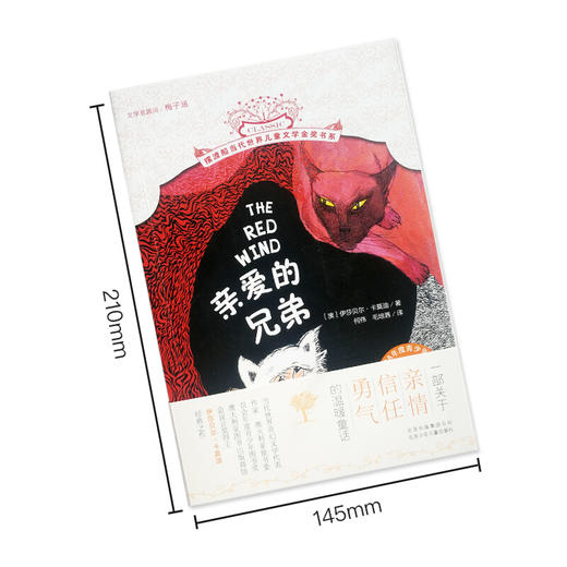 摆渡船当代儿童文学：亲爱的兄弟 商品图3