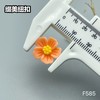 F585(整包购买) 商品缩略图8