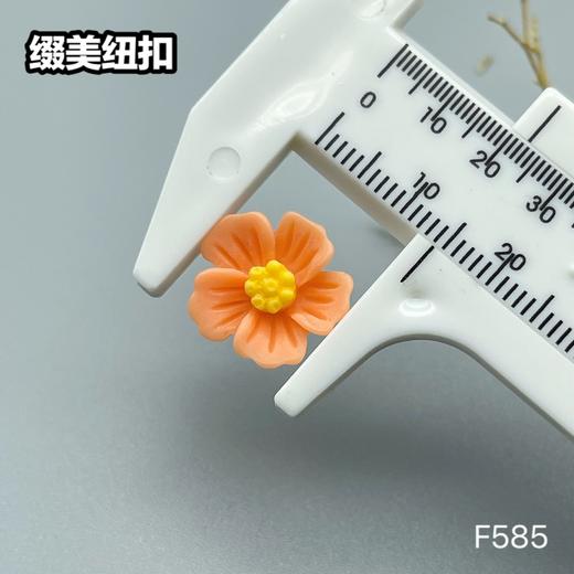 F585(整包购买) 商品图8