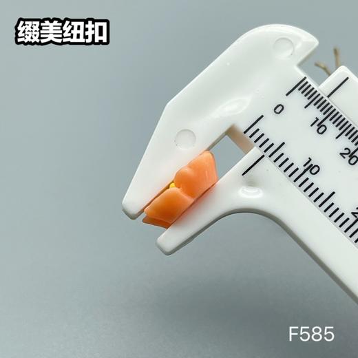 F585(整包购买) 商品图9