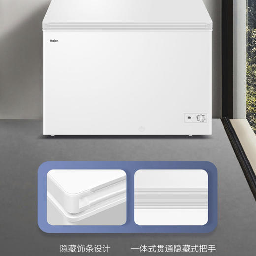 海尔（Haier）冷柜BC/BD-303HD白 商品图12