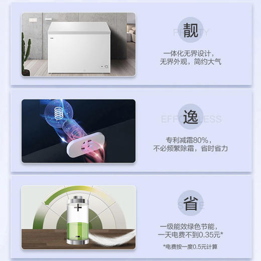 海尔（Haier）冷柜BC/BD-303HD白 商品图3