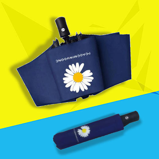 【雨伞】-小雏菊雨伞广告太阳伞雨伞女雨伞全自动三折布朗熊雨伞太阳伞便携 商品图2