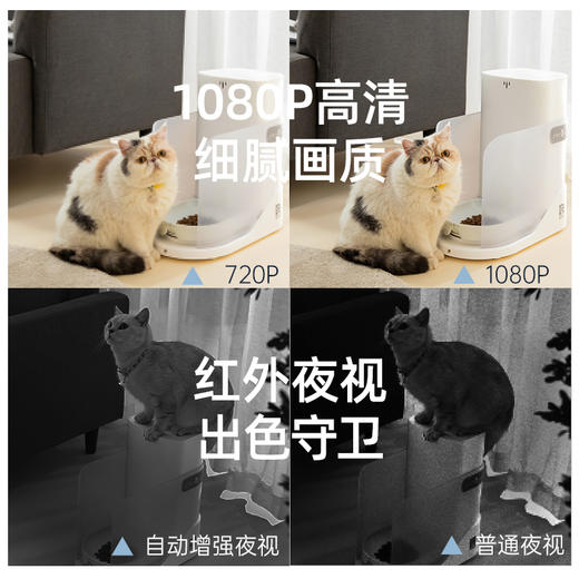 【积分商城】catlink宠物智能摄像头 商品图4