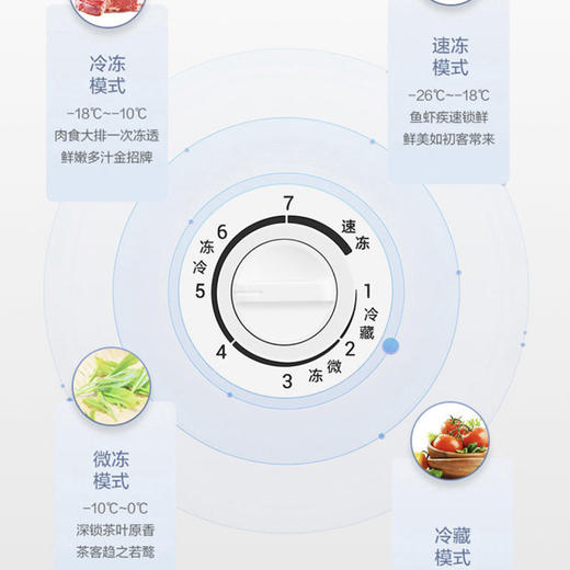 海尔（Haier）冷柜BC/BD-303HD白 商品图11