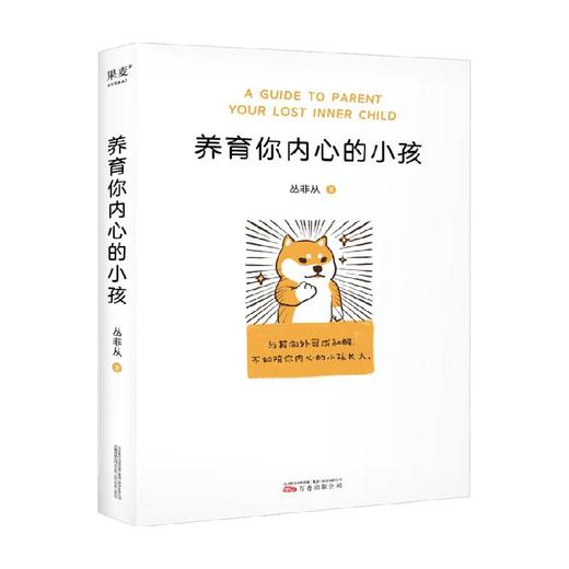 养育你内心的小孩 丛非从著  丛非从十年心理咨询梳理 疗愈你的内在小孩 关于安全感价值感亲密感 心理学 商品图2