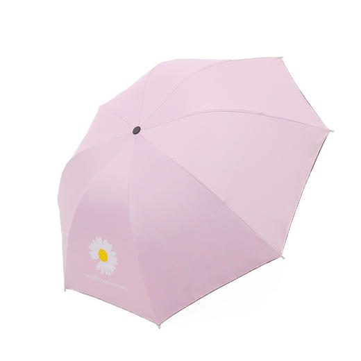 【雨伞】-小雏菊雨伞广告太阳伞雨伞女雨伞全自动三折布朗熊雨伞太阳伞便携 商品图3