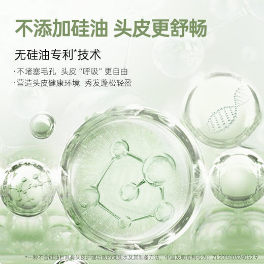 滋源无患子控油清爽洗头水400ml 商品图3