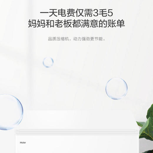 海尔（Haier）冷柜BC/BD-303HD白 商品图10