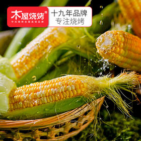 玉米串 2串 烧烤食材户外露营半成品