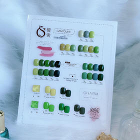 CS2022新款流行松石绿24色套系（秒杀）