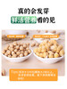 吾爱吾谷鹰嘴豆 有机生豆鸡心豆900g/盒 商品缩略图3