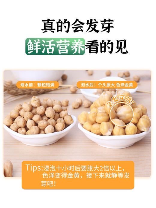 吾爱吾谷鹰嘴豆 有机生豆鸡心豆900g/盒 商品图3