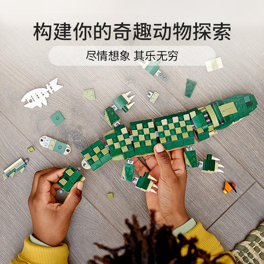 乐高LEGO 鳄鱼 LEGC31121 商品图4