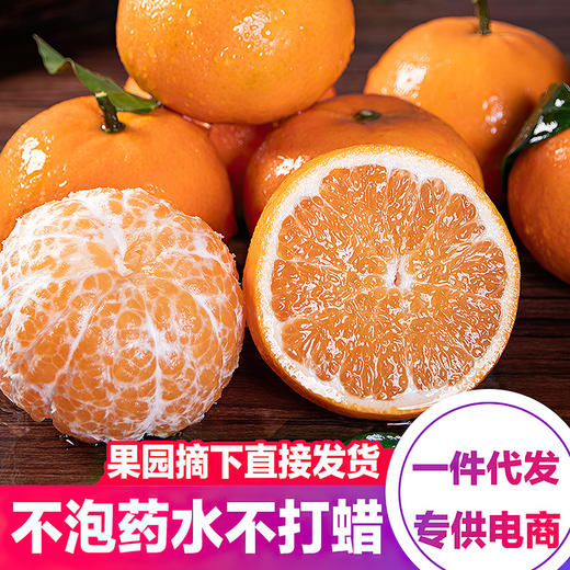广西武鸣现货现摘新鲜橘子一件代大果产地直发礼盒装10斤 商品图1