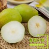 【新疆库尔勒香梨】小香脆多汁 入口即化9斤新鲜水果一件代发 商品缩略图2