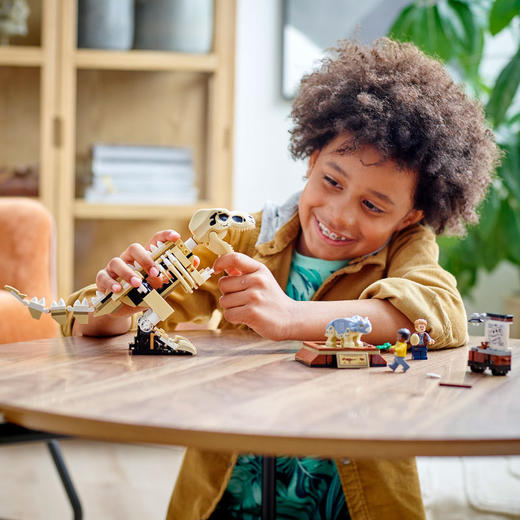 乐高LEGO 霸王龙化石展览 LEGC76940 商品图2