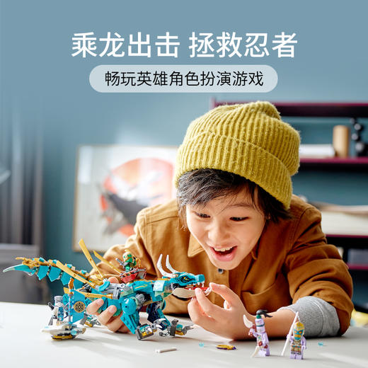 乐高LEGO 丛林飞龙 LEGC71746 商品图1