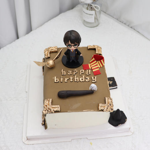 哈利波特的魔法书（可以更换赫敏） 商品图1