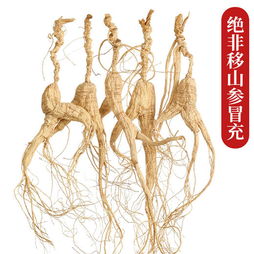 【自营】林下参红礼盒10支 商品图3