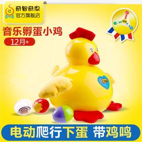 KS KIDS  音乐孵蛋小鸡安玛  KDSCKA10304