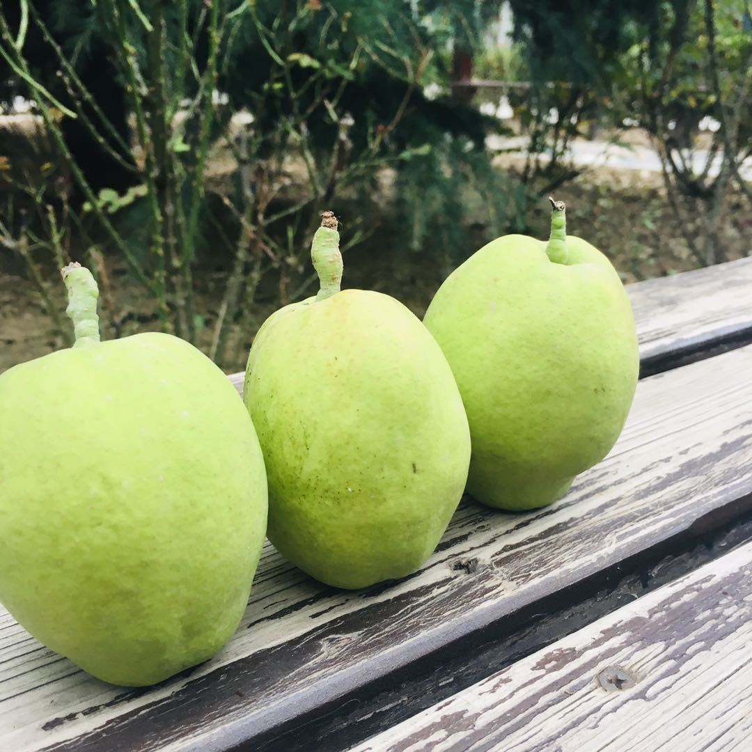 8601342089a6dfc9c756bb020ad97f