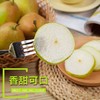 【新疆库尔勒香梨】小香脆多汁 入口即化9斤新鲜水果一件代发 商品缩略图1
