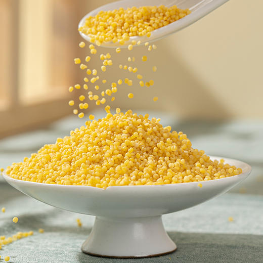 瓶装人民有机黄金苗小米410g 商品图1