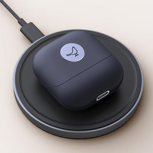 Libratone 真无线入耳式降噪耳机 （第二代） 商品图4