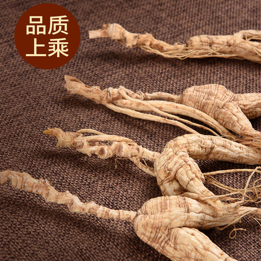 【自营】林下参红礼盒10支 商品图2