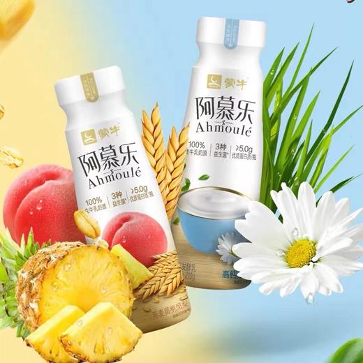 蒙牛新品营养阿慕乐酸奶礼盒装【BC】【WNX】 商品图1