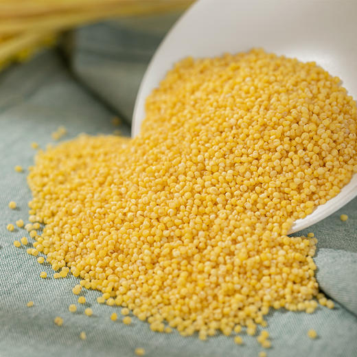 瓶装人民有机黄金苗小米410g 商品图2