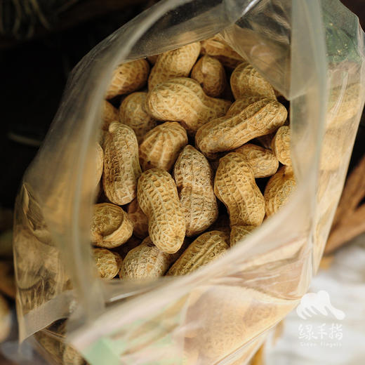 生态炒花生（临期）  | 合作生产 *Eco-Fried peanut | Coproduction 商品图3