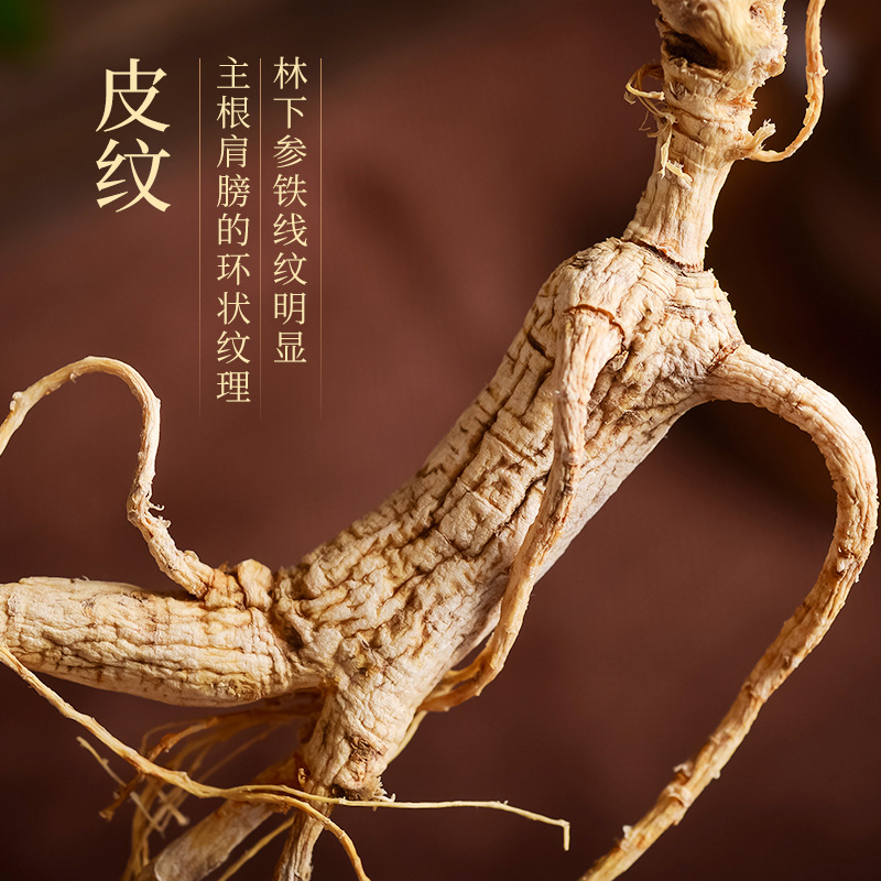 【自营】林下参红礼盒10支