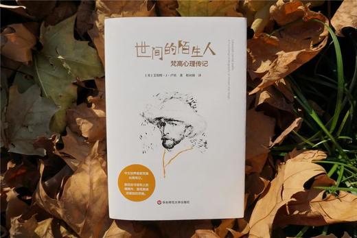 世间的陌生人 : 梵高心理传记 商品图0