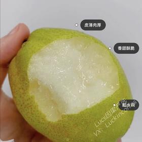 新疆库尔勒 香梨 脆甜多汁 9.9/斤