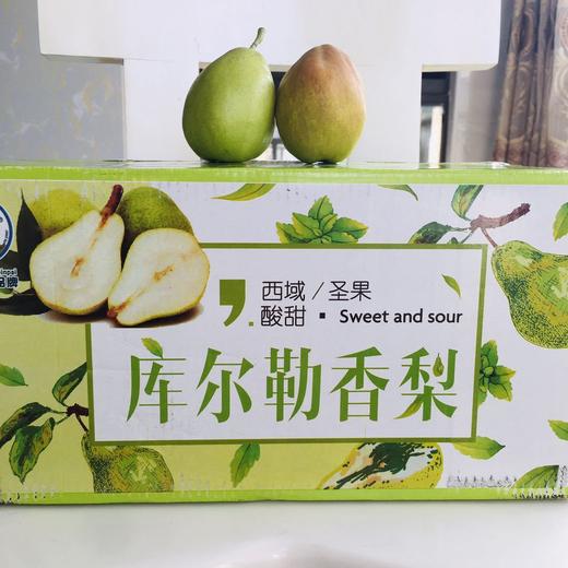 【新疆库尔勒香梨】小香脆多汁 入口即化9斤新鲜水果一件代发 商品图0