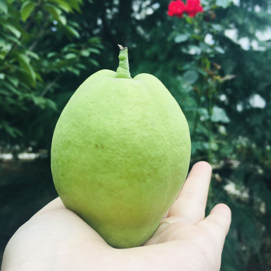 6fd4d9114b9f370c9095cf463931e7