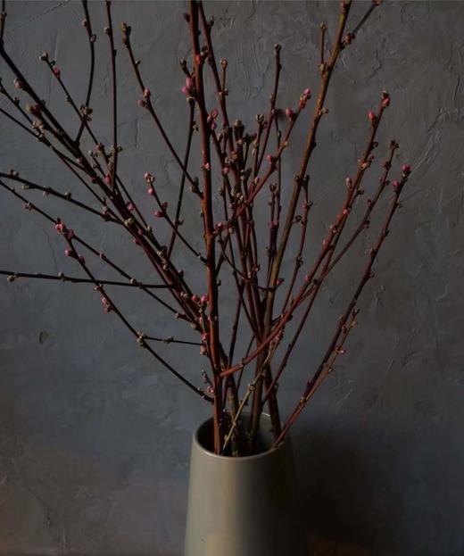 【 '桃‘你欢心】  桃花 红色 约7-8枝/扎 约70公分  单扎 商品图8