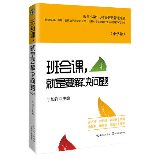 班会课,就是要解决问题 小学卷 商品图0