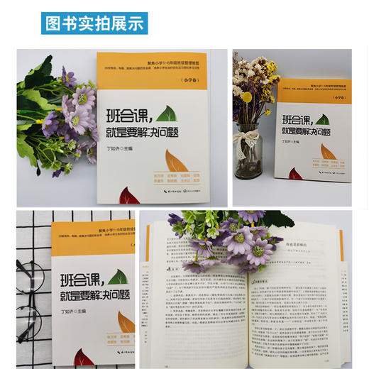 班会课,就是要解决问题 小学卷 商品图1