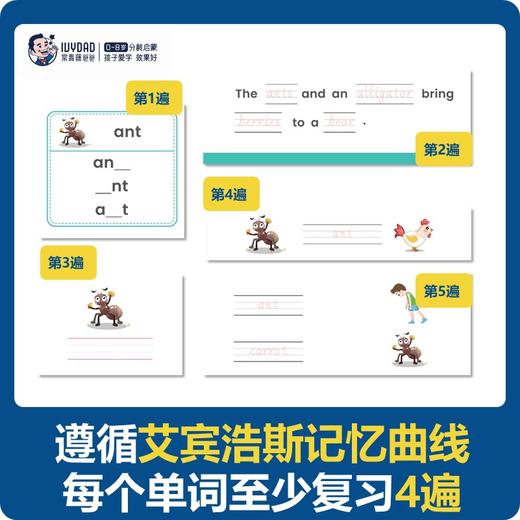 常青藤爸爸KET单词训练营1-3级+默写本1-3级（多规格
） 商品图4