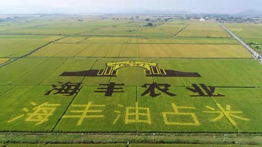 广东·汕尾贝壳岛、莲花山云海、咸水湿地、潭围稻田3天摄影采风 商品图2