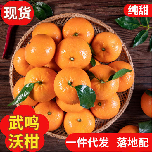 广西武鸣现货现摘新鲜橘子一件代大果产地直发礼盒装10斤 商品图0